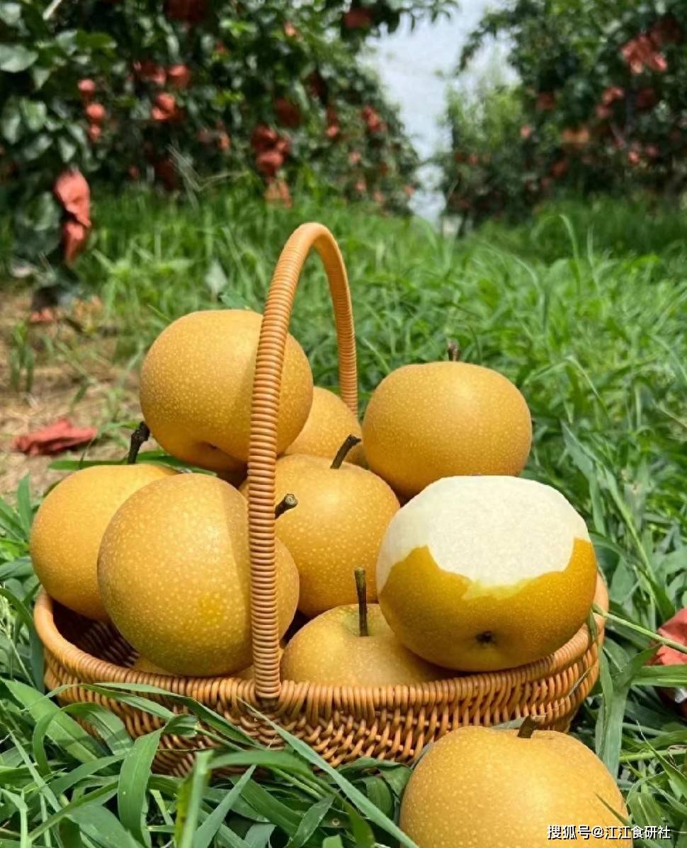 原创            秋梨大量上市，医生提醒：这3类人最好少吃，吃梨的禁忌要牢记