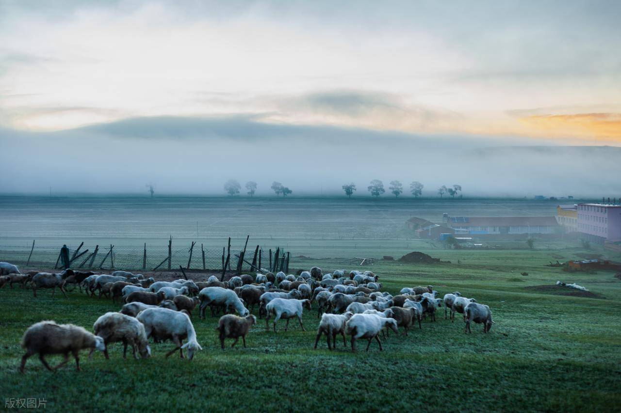 有哪些紧急避孕药品牌效果显著？4个实用品牌的真实体验