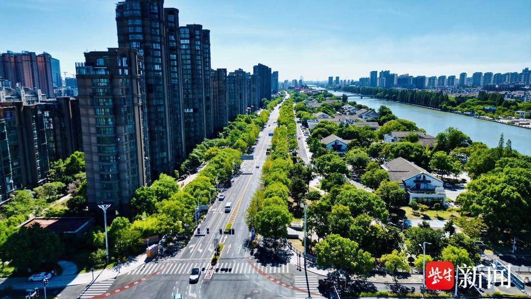 艺术赋能城市 青年共创未来 海运堤打造青年友好新名片