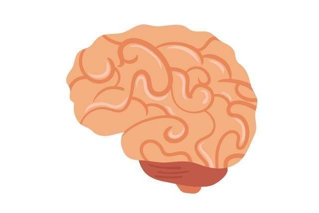 脑梗防治与康复：6种活血化瘀中成药，守护脑血管健康