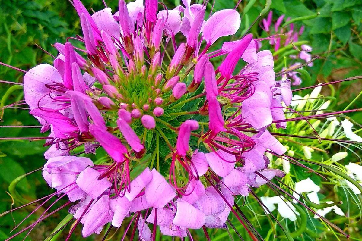 在家练！20 分钟燃脂操，3 个动作瘦腰瘦腿，新手零门槛