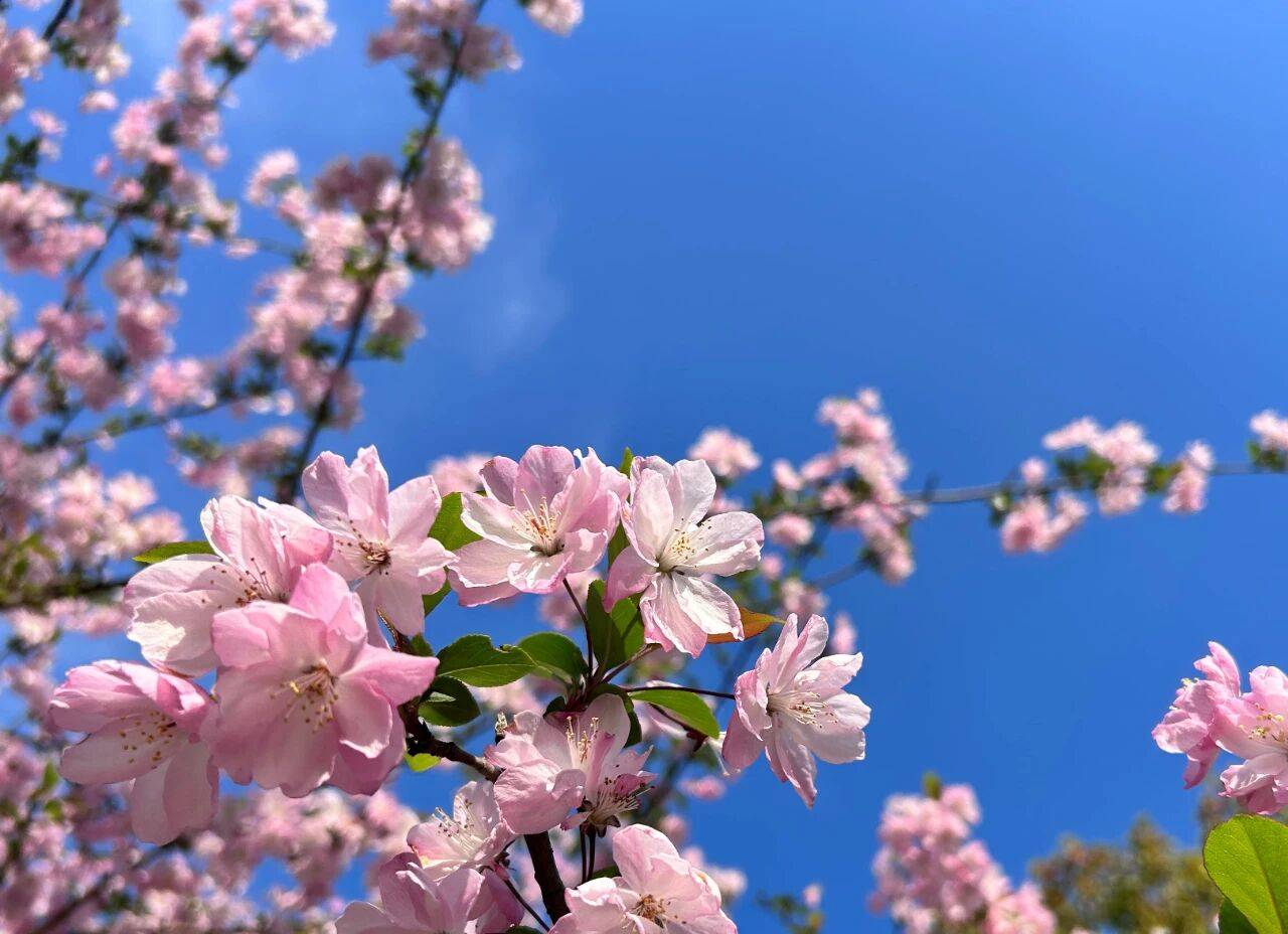 原创            婚姻中，男人爱什么时候出轨，无非这3个阶段