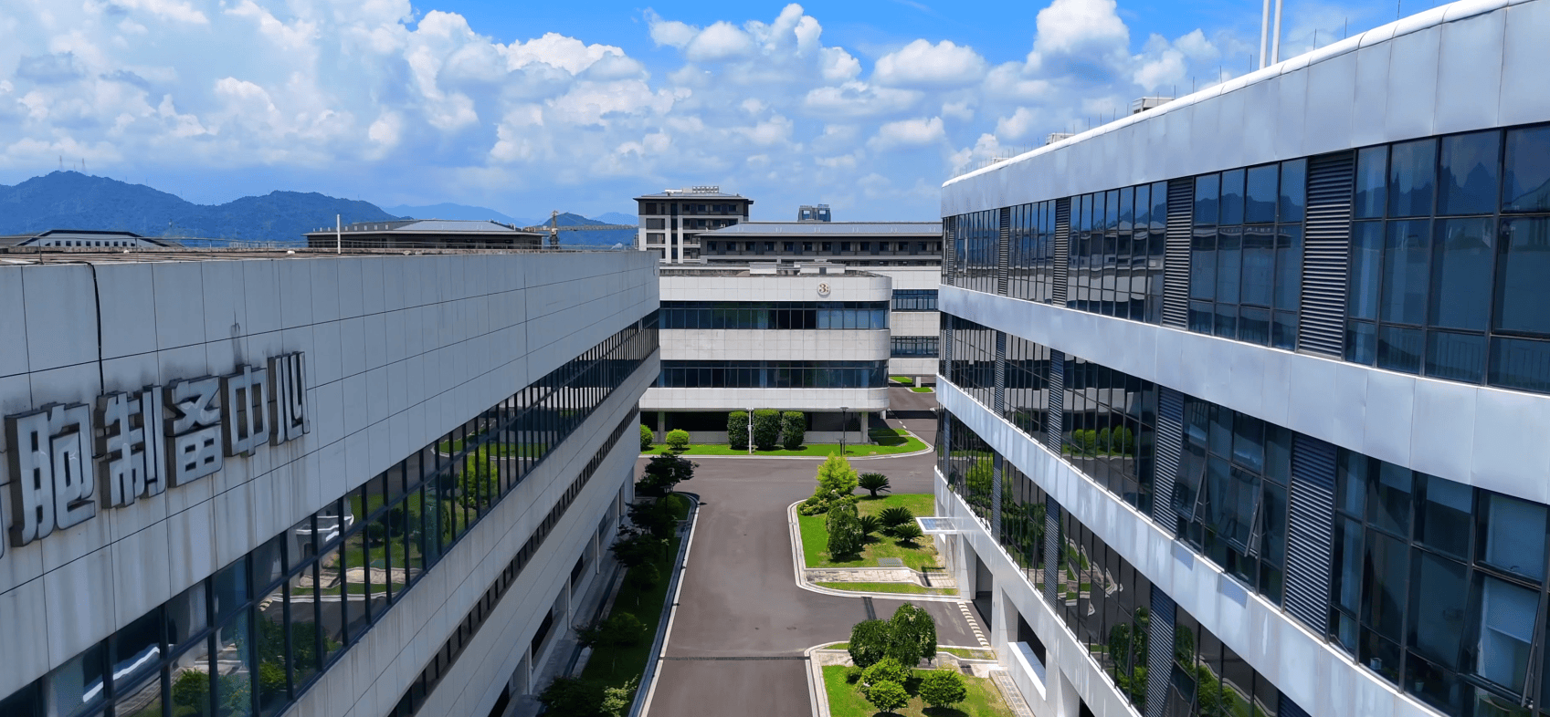 正规的干细胞生命科技排名