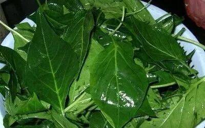 原创            辣椒叶：被忽视的“营养宝藏”