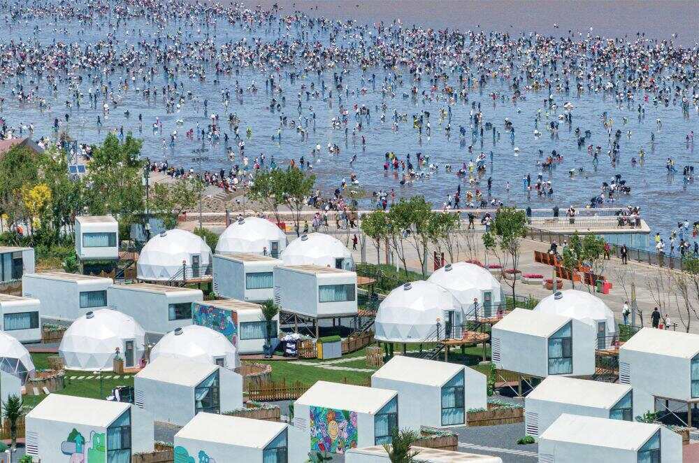 逐“绿”津沽绘“蓝”图