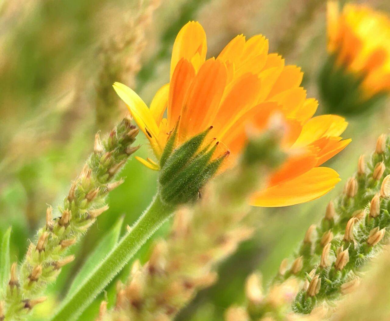 原创            男人背叛离婚后，也不给第三者名分的原因，只有一个