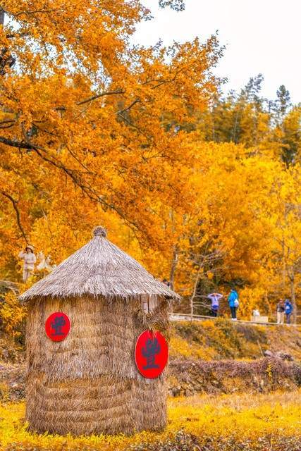 科普知识 什么是悲秋综合征？