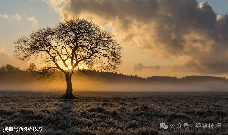 原创            早餐把鸡蛋牛奶换成它，连吃7天，补气补血又补阴！一觉到天亮