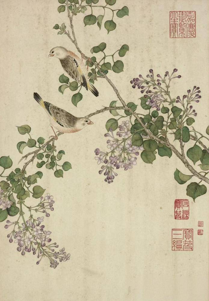 清 蒋廷锡 《写生册图》，中国台北故宫博物院藏