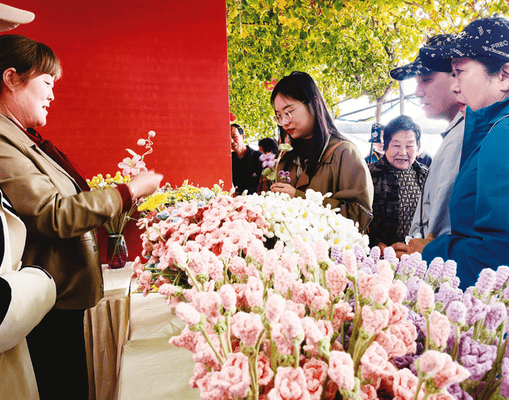 陈仓区周原镇营子头村 “指尖艺术”绽放丰收新景
