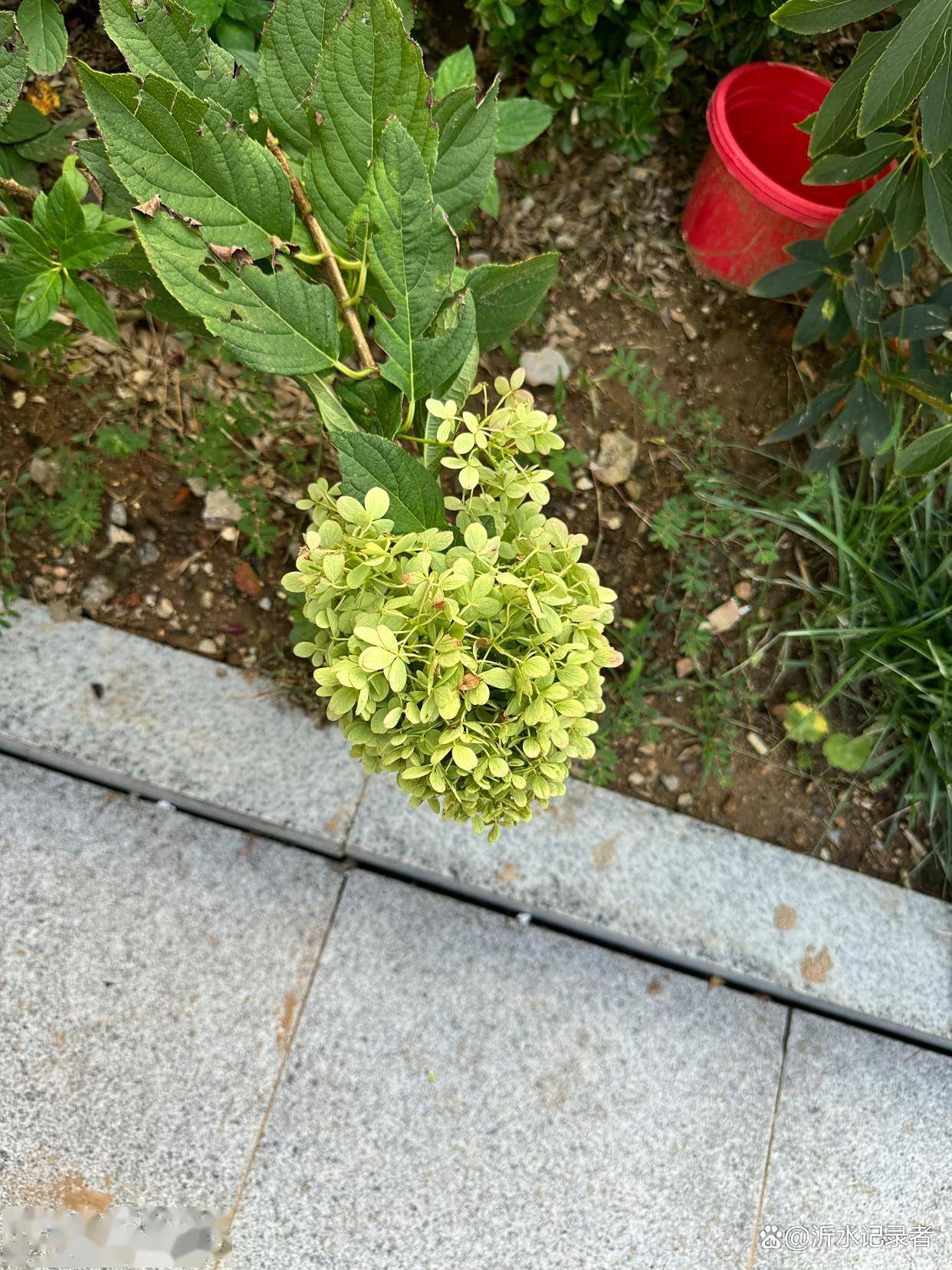老婆床上这3个细节，是婚姻“倒计时”信号！男人别装瞎