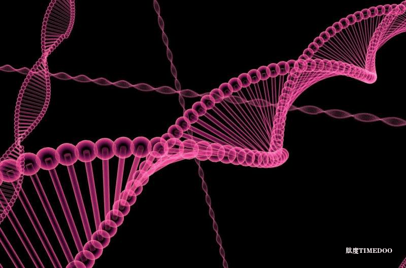 研究发现：结直肠癌拥有独特的“微生物指纹”