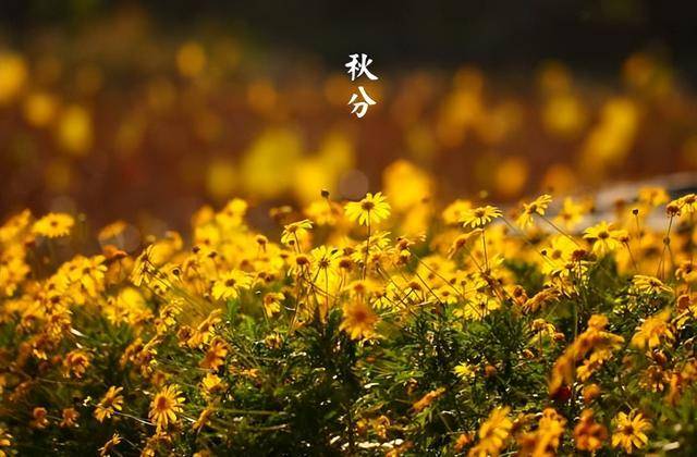 秋分前后，要懂得忌嘴，少吃西瓜和冷饮，多吃三样，健脾润燥养肺