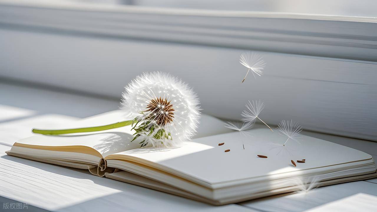 紧急避孕药品牌有哪些口碑好？真人真事推荐的款都在这