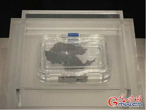 数智文遗陕西行丨从汉室陵阙看昔日文景盛世