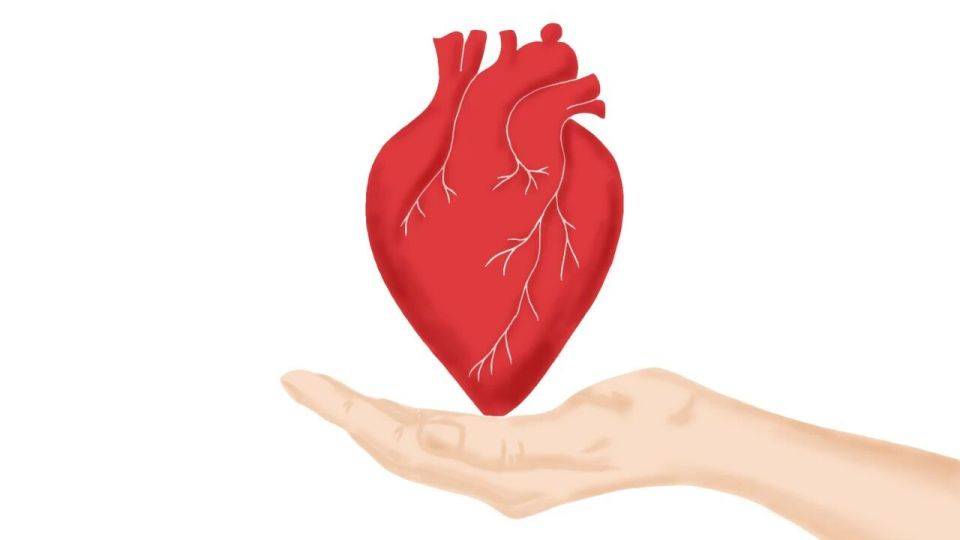 强心脏、护血管，4类食品家中常备，或能让您免受心脏问题困扰