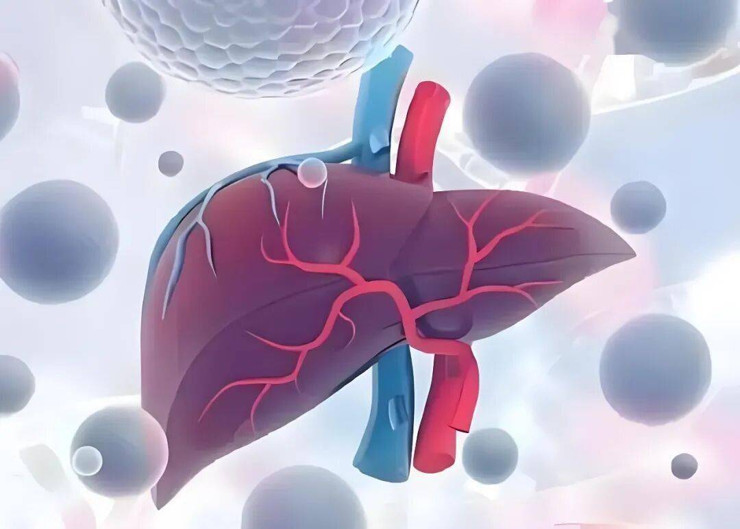 铁死亡研究升温：温州医科大学最新成果或改写肝癌治疗指南