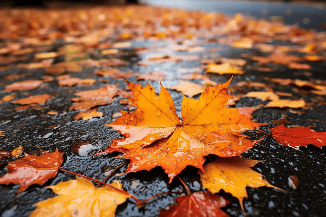 “一红一白”最适合祛湿！没精神、没胃口的人试试