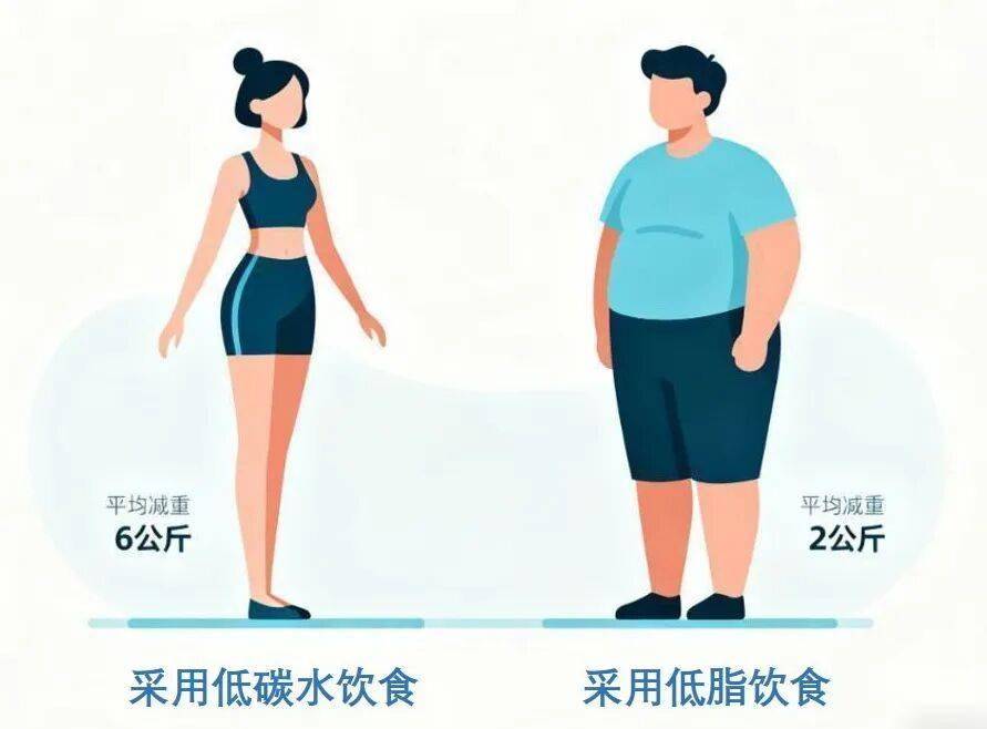 不同饮食模式减重：如何选择适合你的那一款？