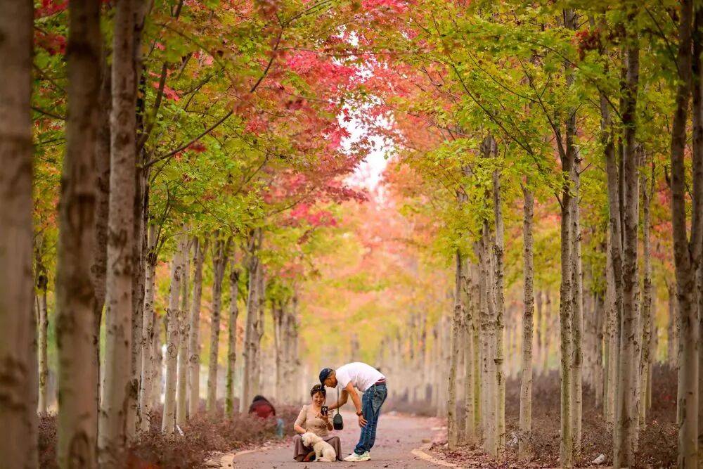 一到秋天就“emo”，怎么破？