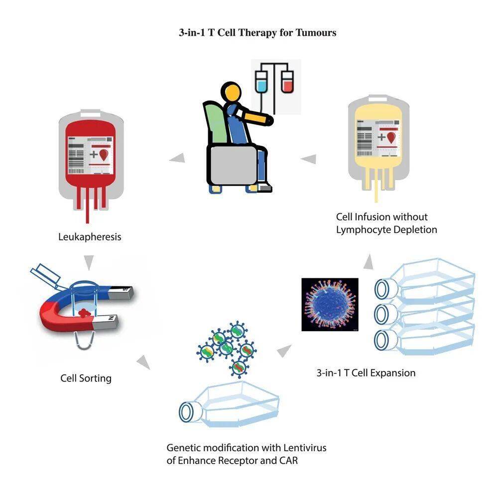 突破实体瘤治疗瓶颈！北京协和医学院赵海涛团队等研发“三合一”新型免疫疗法破解胆道癌治疗难题