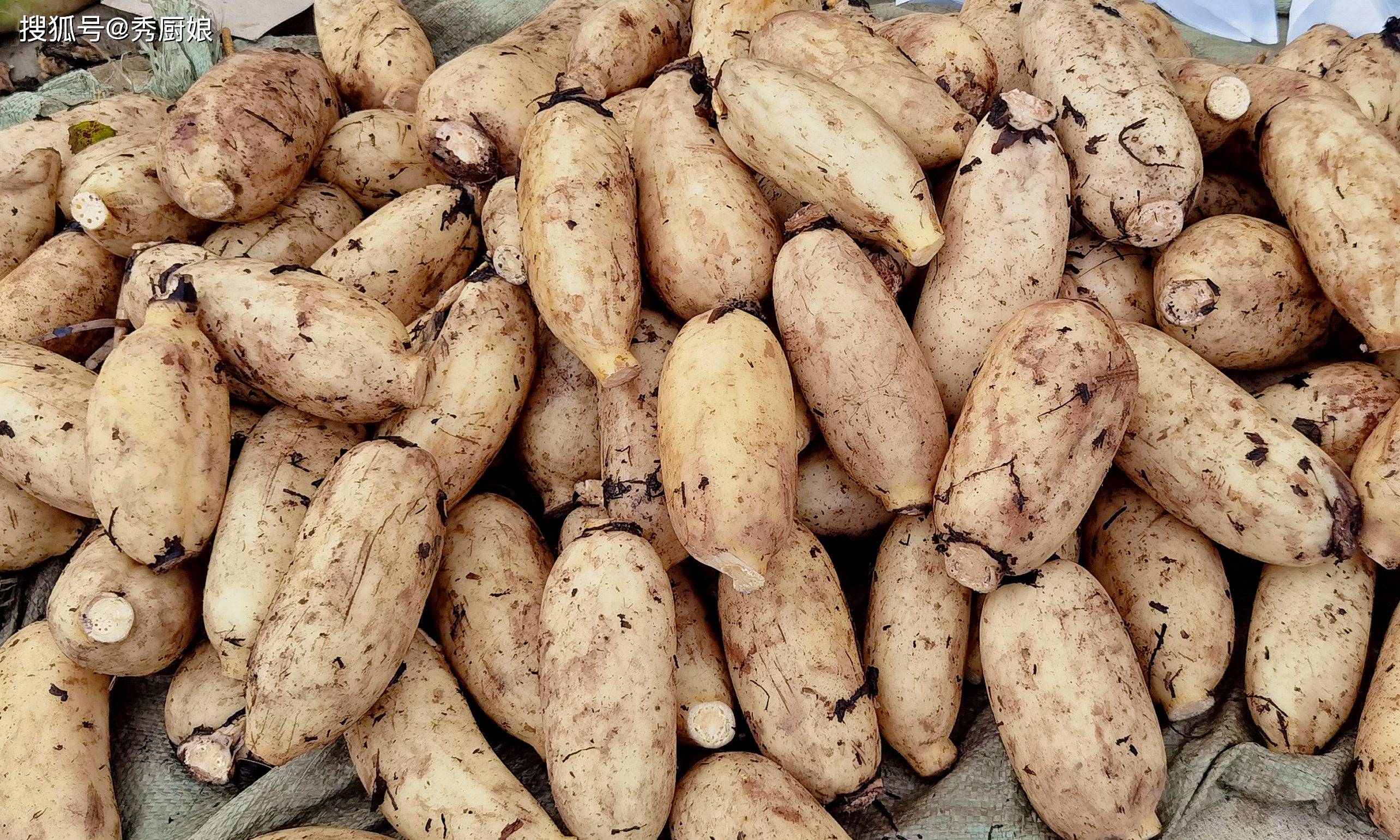 原创            莲藕也有禁忌？切记：两者不能同食，吃了就是没病找病，建议了解