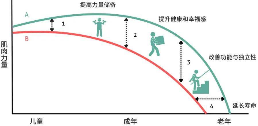 中国孩子正在经历肌肉力量危机