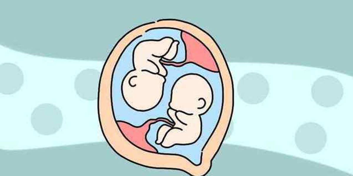 amh8.6用拮抗剂方案卵泡多大才能取卵？