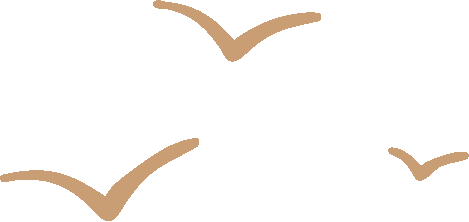 后浪新书｜米价疯了，大明崩了：777份史料中的百姓苦涩人生