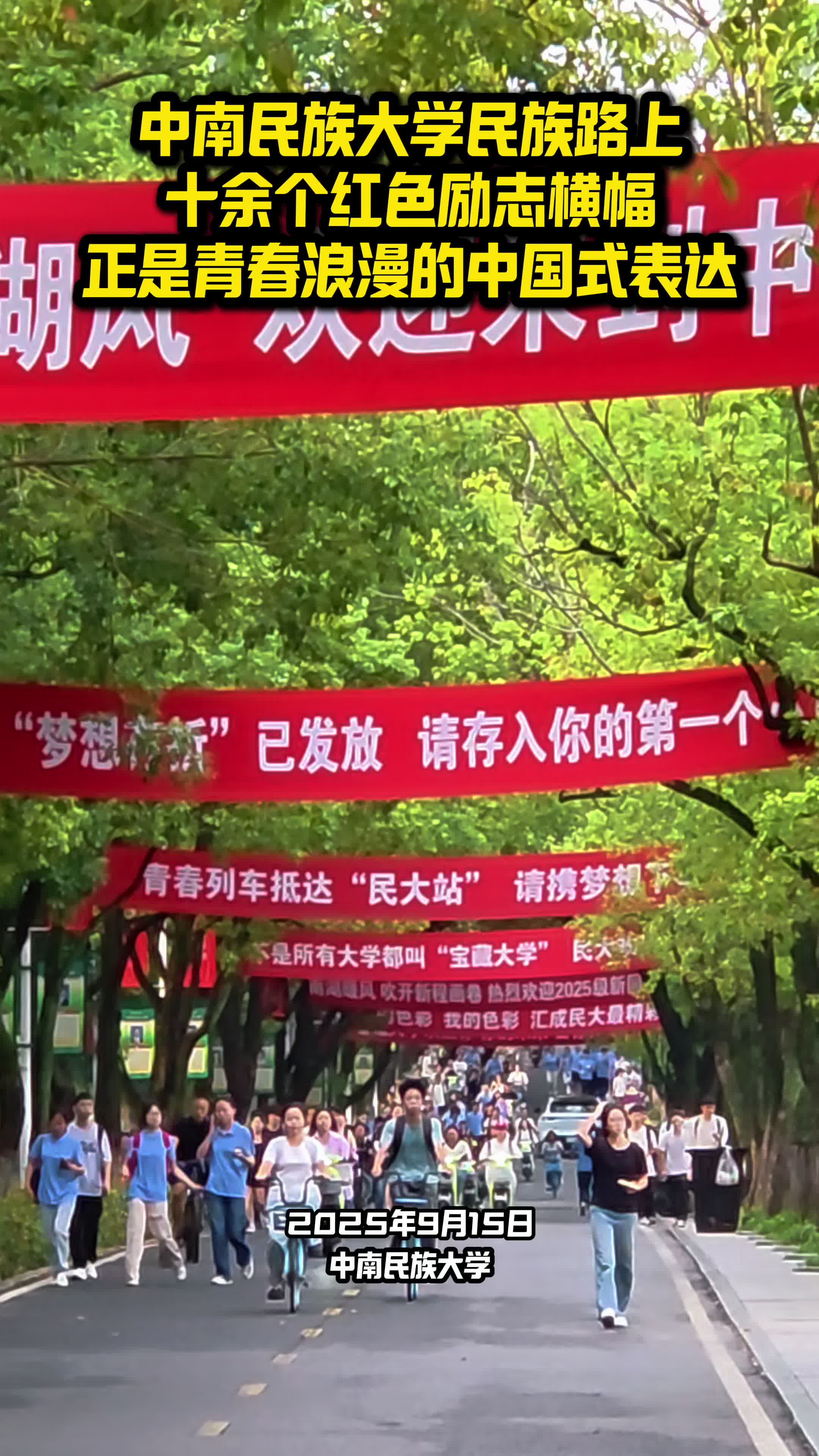 青春浪漫的中国式表达  中南民大这条林荫道拉满励志横幅