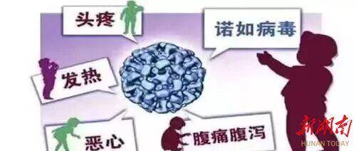 诺如病毒来袭，这些知识要点掌握！