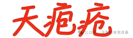 天疱疮治疗新思路：健脾祛湿方剂的显著成效与康复实例