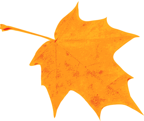 今日秋分，养生要注意这些