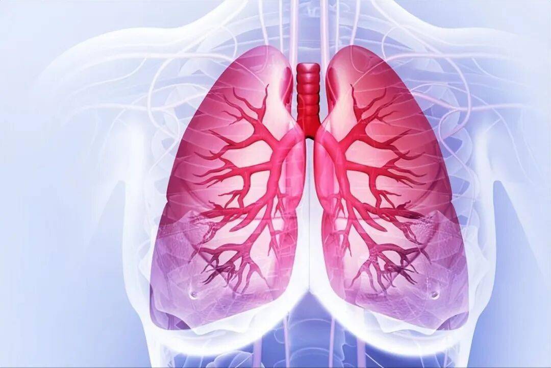 JITC | 郑大一附院创新癌症免疫疗法：让治疗效果更上一层楼