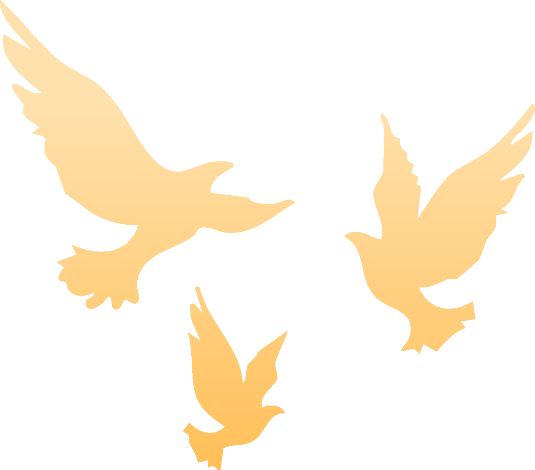 就在明天！九三阅兵！这份直播观看攻略与亮点安排请收好