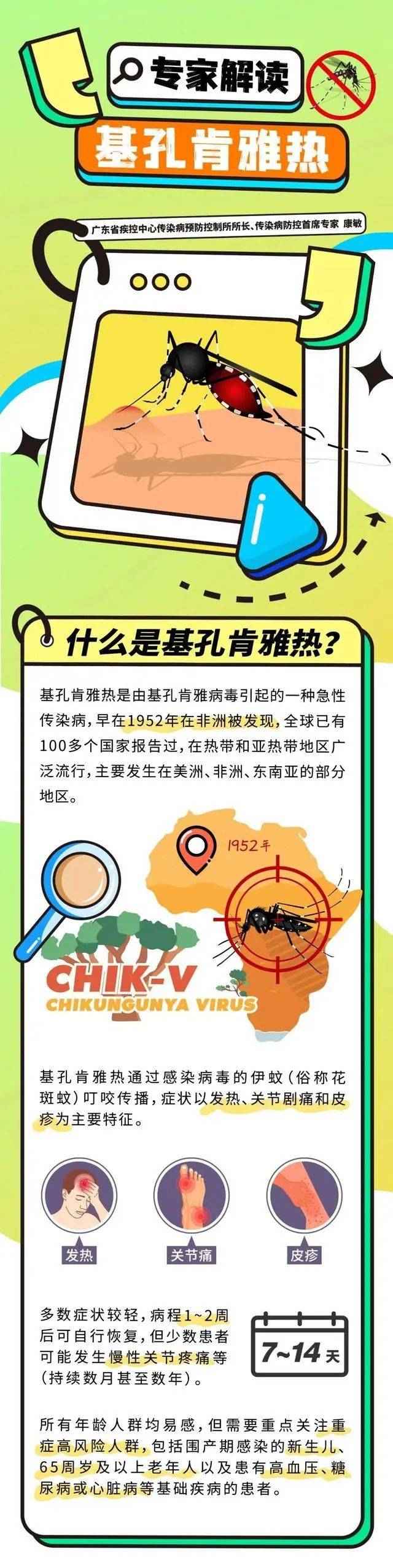 一图读懂：带你全方位读懂基孔肯雅热