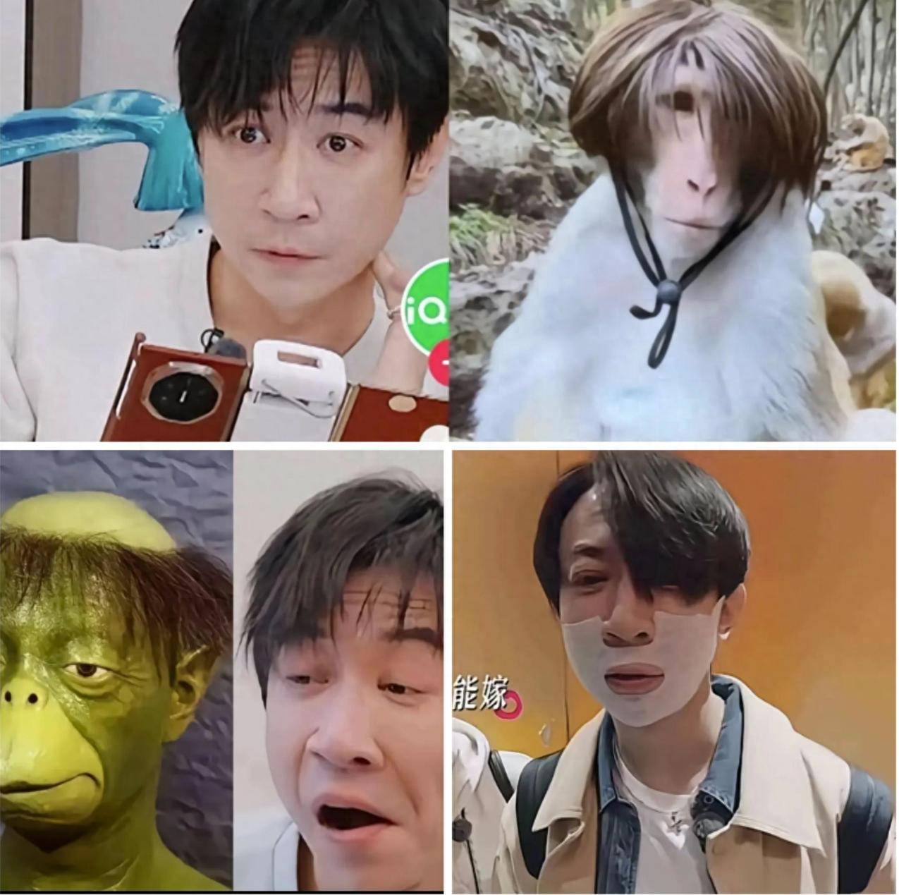 原创            张维伊“人设崩塌”背后：综艺真人秀的反差魅力，我真不是故意笑