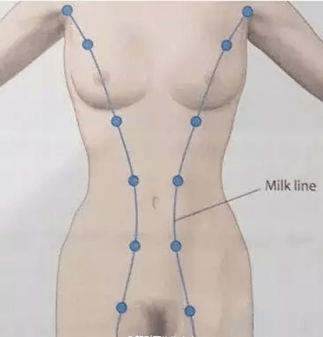 怀孕后，身体竟多长了一对乳房？！关于副乳的真相