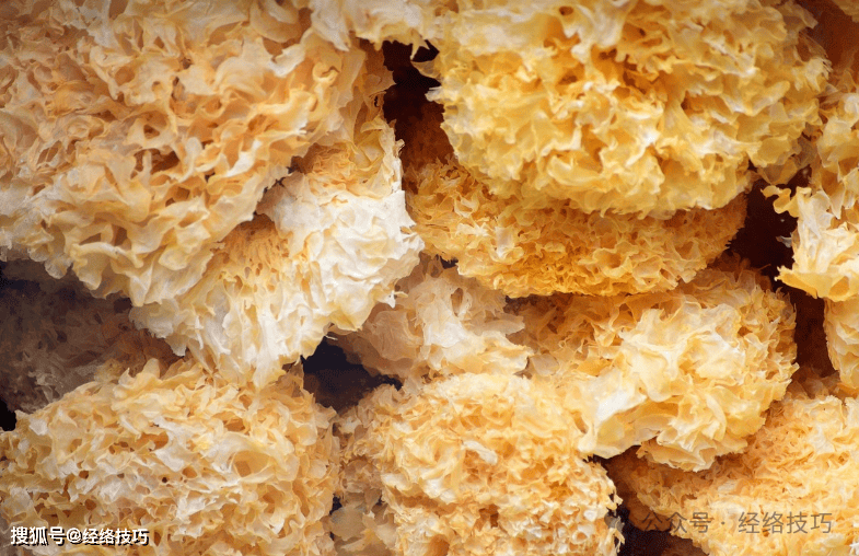 原创            外行品燕窝，内行吃银耳？从现在到立春，试试这样吃银耳一百天