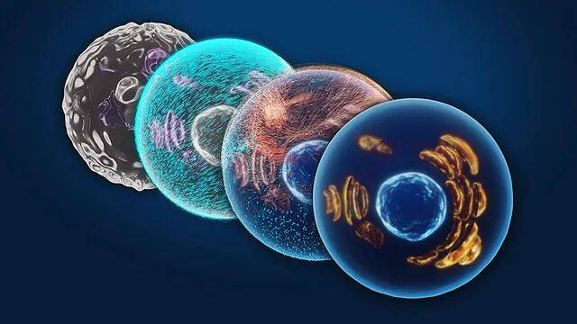 新冠后遗还在延续？临床试验证实：再生方案或成破局新钥匙