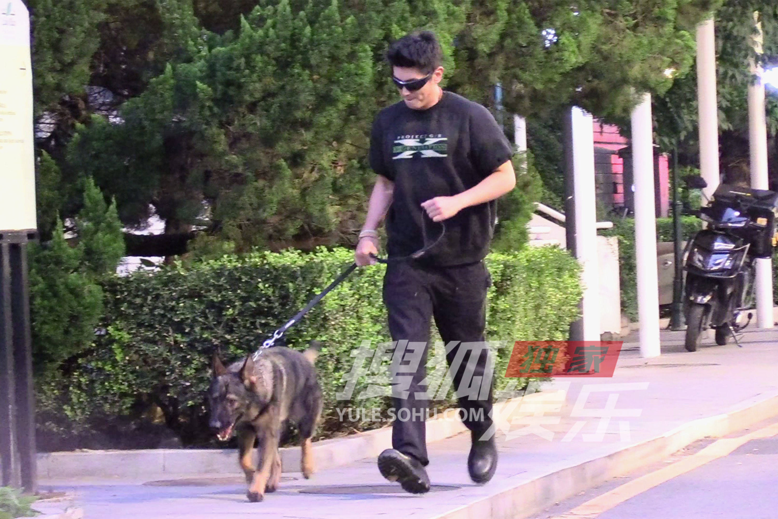 杜江牵狼狗塑特工气场 霍思燕带贵宾狗甜度满格
