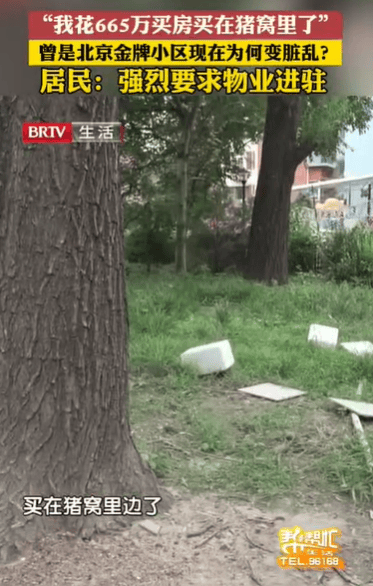 “我花665万买在猪窝里了”，居民吐槽曾经的金牌小区如今脏乱差：强烈要求进驻物业