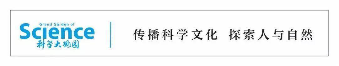 国际顶尖肺癌专家宣布已患肺癌三年……这种癌症如今发病和死亡率排名第一