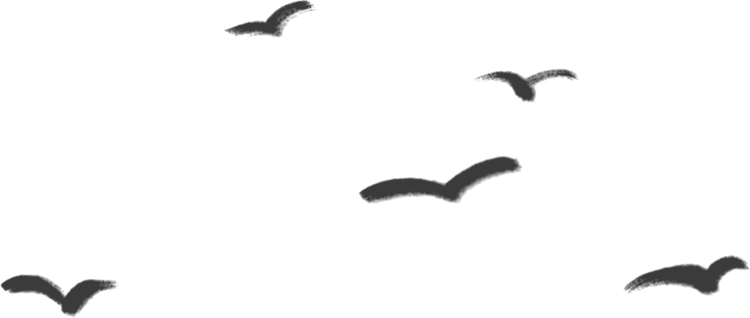 以兰养廉 润物无声——国兰文化与鉴赏科普讲座