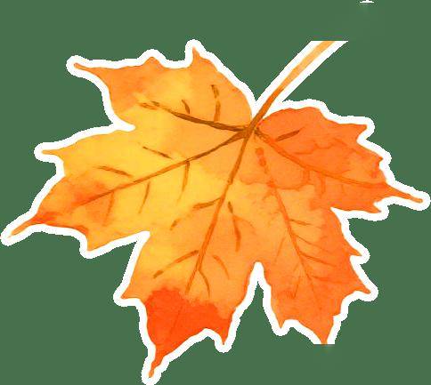 【朝医科普】又到9月过敏季 小朋友也能懂的过敏大作战！