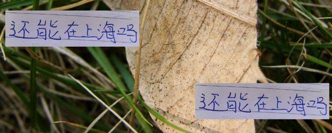 原创            还能留上海吗？ 今年中超冠军是海港靠谱点，还是信申花多一点