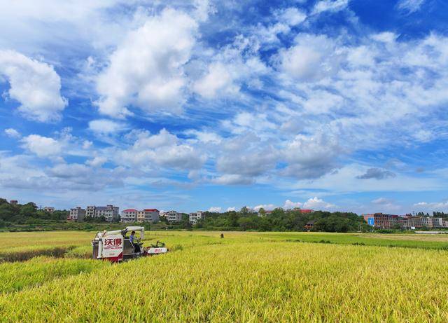 金秋好“丰”景#