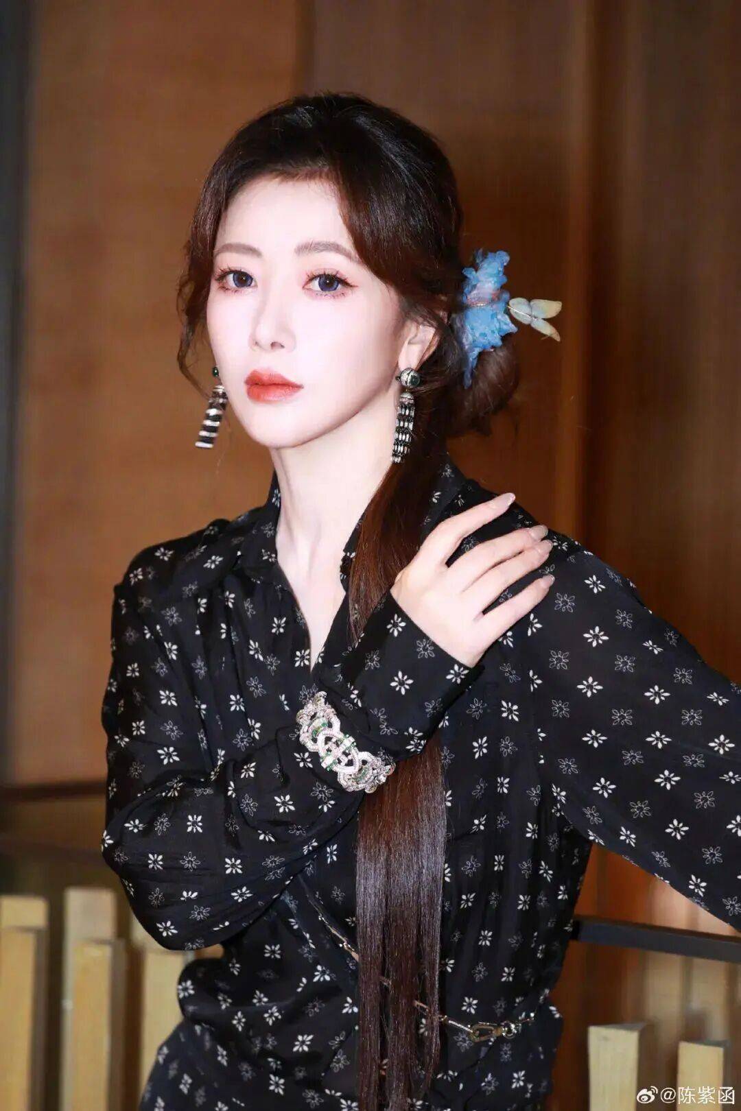 原创            陈紫函曾停工3年做了12次试管！戴向宇曾想单方面离婚