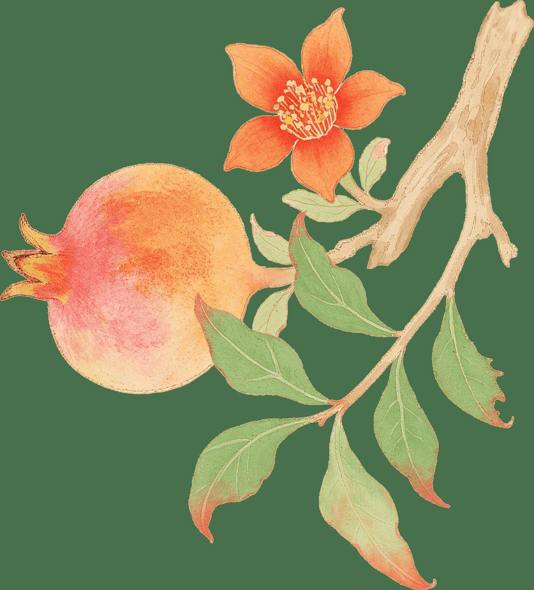 二十四节气：秋分丨秋燥+秋凉，慢阻肺/哮喘患者如何过秋?