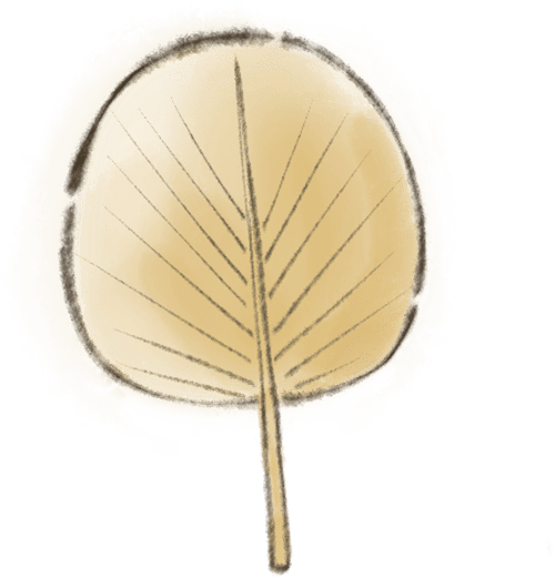 防治“基孔肯雅热”，中医来支招